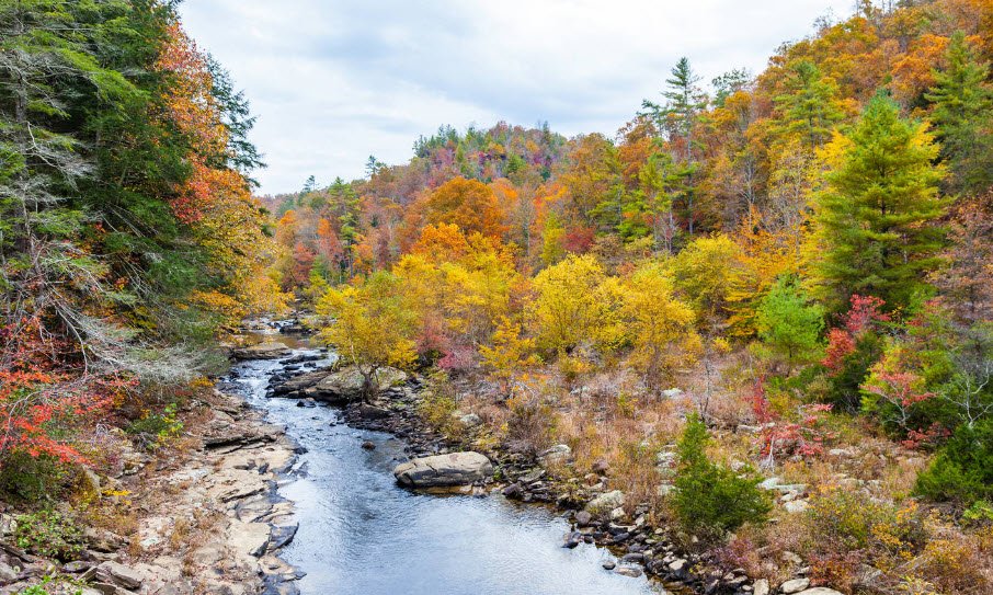 Obed Wild and Scenic River, Tennessee, USA